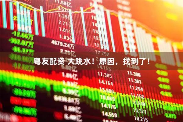 粤友配资 大跳水！原因，找到了！
