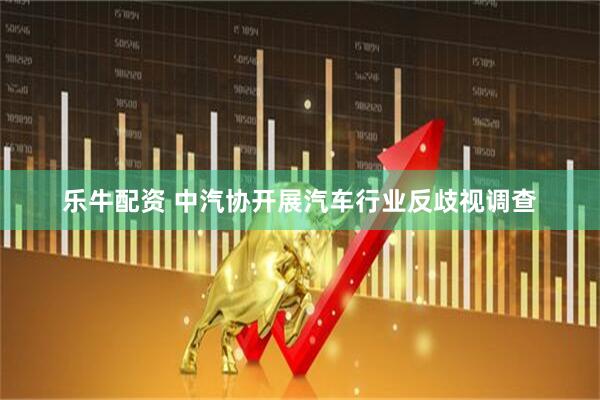 乐牛配资 中汽协开展汽车行业反歧视调查