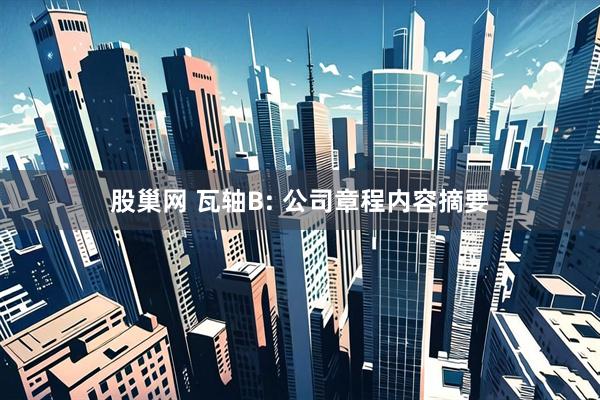 股巢网 瓦轴B: 公司章程内容摘要