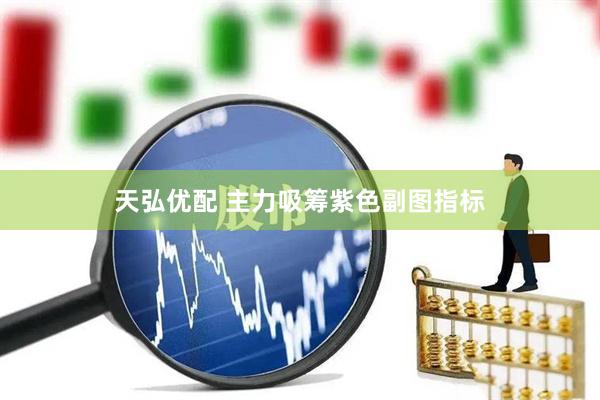 天弘优配 主力吸筹紫色副图指标