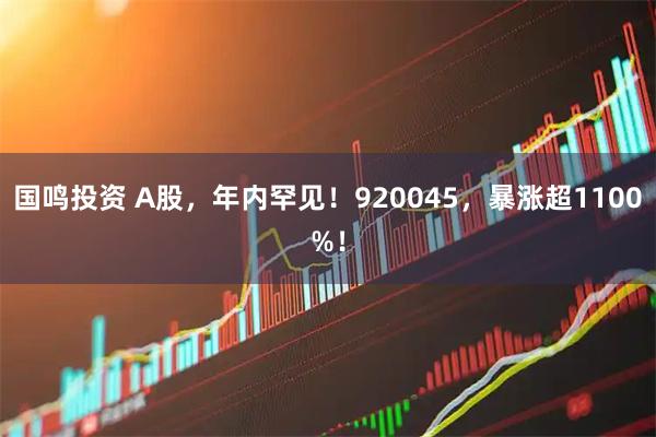 国鸣投资 A股，年内罕见！920045，暴涨超1100%！