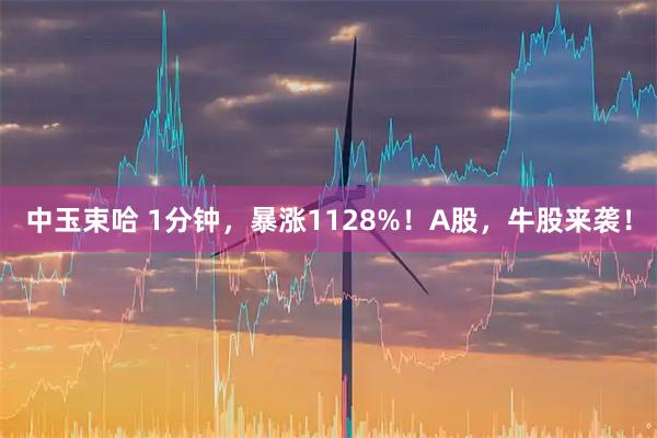 中玉束哈 1分钟,暴涨1128%!A股,牛股来袭!