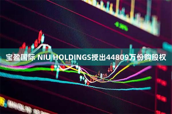 宝盈国际 NIU HOLDINGS授出44809万份购股权
